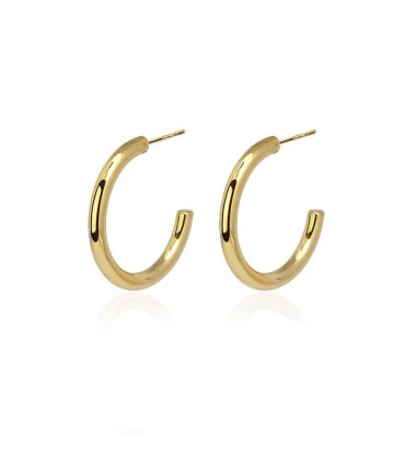 Pendientes ARO dorado/plateado Anartxy
