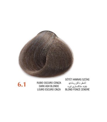 Tinte Arual 6.1 rubio oscuro ceniza 60 ml