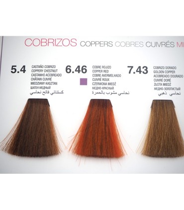 Tinte Glossco permanente 5.4 castaño cobrizo 100 ml