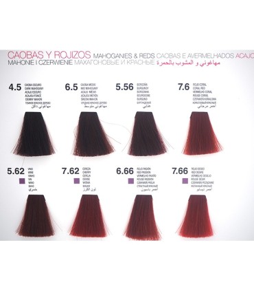Tinte Glossco permanente 7.62 cereza 100 ml