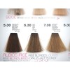 Tinte Glossco permanente 5.30 beige oscuro 100 ml