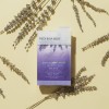 Kit pedicura 4 pasos lavanda PEDI IN A BOX VOESH NEW YORK