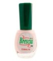 Esmalte de uñas cremoso n 06 de Brescia