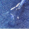 Esmalte de uñas semipermanente Gelfix - NEPTUNO