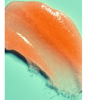 Exfoliante corporal Bikini Reef Tree Hut