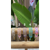 Pulsera MIYUKI AURORA de Aloha y Ohana