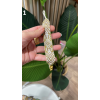 Pulsera MIYUKI AURORA de Aloha y Ohana