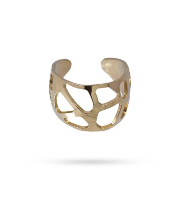 Anillo AICHI Anartxy